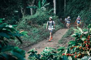 BIB: 
                            <button type="button" onclick="openModal(25795831)" class="btn btn-primary btn-sm float-right btn-popup" data-toggle="modal" data-target=".modal-high-quality">
                        <i class="fas fa-shopping-cart"></i> Add to Cart
                    </button>
                                            <button type="button" onclick="isThisMe(25795831, true)" class="btn btn-success btn-sm float-right btn-popup btn-isme hidden" data-toggle="tooltip" data-placement="bottom" title="นี่คือรูปของคุณใช่ไหม คลิกที่นี่เพื่อเอาเข้าอัลบั้ม">
                        <i class="fas fa-plus"></i> Add to album
                    </button>
                    <button type="button" onclick="isThisMe(25795831, false)" class="btn btn-warning btn-sm float-right btn-popup btn-isnotme hidden">
                        <i class="fas fa-ban"></i> Remove from album
                    </button>